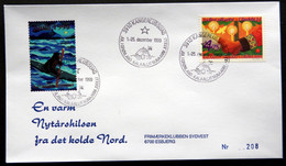 Greenland 1999 Cover  Minr.345  KANGERLUSSUA   (lot  787 ) - Storia Postale