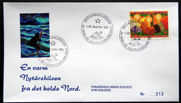 Greenland 1999 Cover  Minr.345  KANGERLUSSUA   (lot  787 ) - Storia Postale