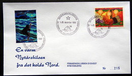 Greenland 1999 Cover  Minr.345  KANGERLUSSUA   (lot  787 ) - Storia Postale