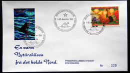 Greenland 1999 Cover  Minr.345  KANGERLUSSUA   (lot  787 ) - Storia Postale