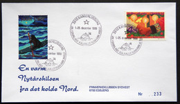 Greenland 1999 Cover  Minr.345  KANGERLUSSUA   (lot  787 ) - Storia Postale