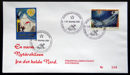 Greenland 2000  Cover  Minr.360  KANGERLUSSUA   (lot  789 ) - Brieven En Documenten