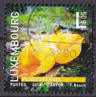 Luxemburg Marke Von 2013 O/used (A3-9) - Usados