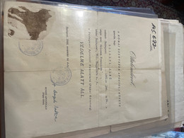 Vatican Schutzpass Protection Passport 1944 Budapest Judaica Holocaust Shoah - Historical Documents