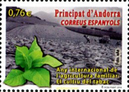 323466 MNH ANDORRA. Admón Española 2014 AÑO INTERNACIONAL DE LA AGRICULTURA - EL CULTIVO DEL TABACO - Used Stamps