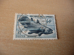 TIMBRE   COMORES    N  13    COTE  25,00  EUROS    OBLITÉRÉ - Used Stamps