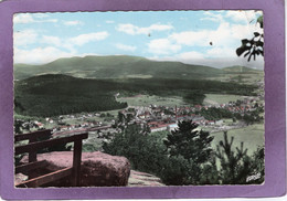 88 Vue Sur Clairefontaine Étival Depuis La Pierre D'Appel - Etival Clairefontaine