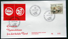 Greenland 1990 Cover  Minr.208  KANGERLUSSUA   (lot  803 ) - Covers & Documents