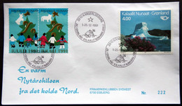 Greenland 1991 Cover  Minr.217  KANGERLUSSUA   (lot  805 ) - Briefe U. Dokumente