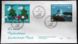 Greenland 1991 Cover  Minr.217  KANGERLUSSUA   (lot  805 ) - Lettres & Documents