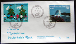 Greenland 1991 Cover  Minr.217  KANGERLUSSUA   (lot  805 ) - Storia Postale