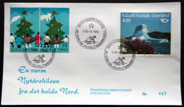 Greenland 1991 Cover  Minr.217  KANGERLUSSUA   (lot  805 ) - Storia Postale