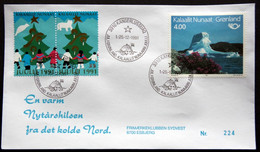 Greenland 1991 Cover  Minr.217  KANGERLUSSUA   (lot  805 ) - Covers & Documents