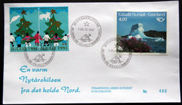 Greenland 1991 Cover  Minr.217  KANGERLUSSUA   (lot  805 ) - Storia Postale