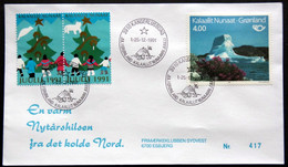 Greenland 1991 Cover  Minr.217  KANGERLUSSUA   (lot  805 ) - Covers & Documents