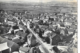 Cpsm Flins Vue Panoramique - Flins Sur Seine