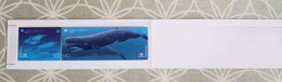 Azoren Portugal 1998 Wale Whales Mi 468/69** In Offizieller Klappkarte - Other & Unclassified