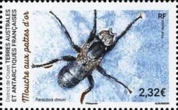 TAAF - 2023 - Fauna Of Crozet Region - Fly With Golden Feet - Mint Stamp With Hot Foil Imprint - Unused Stamps