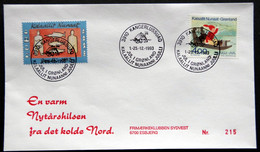 Greenland 1993 Cover  Minr.242  KANGERLUSSUA   (lot  807 ) - Covers & Documents