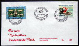 Greenland 1993 Cover  Minr.242  KANGERLUSSUA   (lot  807 ) - Storia Postale