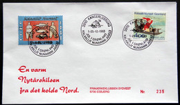 Greenland 1993 Cover  Minr.242  KANGERLUSSUA   (lot  807 ) - Lettres & Documents