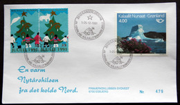 Greenland 1991 Cover  Minr.217  KANGERLUSSUA   (lot  1234 ) - Covers & Documents