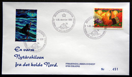 Greenland 1999 Cover  Minr.345  KANGERLUSSUA   (lot  1234 ) - Storia Postale