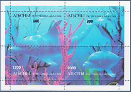 Dolphins,Animals,Marine Research,Nature,Wildlife MNH - Dauphins