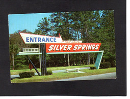 119685            Stati   Uniti,   Entrance  Sign To  Florida"s  Famous Silver  Springs,  VG  1966 - Silver Springs