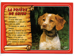 Carte "LA PRIERE DU CHIEN" - Editions Estel - Production Leconte - Hunde