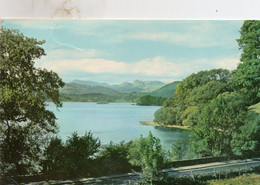 WINDERMERE From Low Wood - Windermere