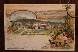 AK 1900 Cpa Gruss Aus Gruß Vom Drei Aehren Trois Epis Deutsches Reich Litho Elsass Illustrateur Hotel Petitdemange - Trois-Epis