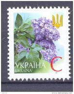 2003. Ukraine, Definitive, C, Mich. 514AII, Mint/** - Ucraina