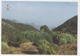 SAUDI ARABIA ,BEAUTY OF NATURA IN THE SOUTH WEST REGION OF THE KINGDOM ,POSTCARD - Arabie Saoudite