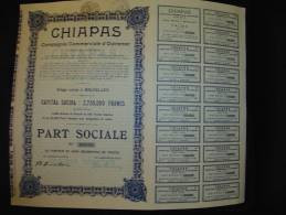 Part Sociale " Chiapas " Cie Commerciale D'outremer (Mexique) Bruxelles 1929 Excellent état,avec Tous Les Coupons.Mexico - Agriculture