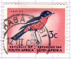 RSA+ Südafrika 1963 Mi 332 Würger - Used Stamps