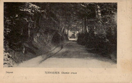Tervuren - Chemin Creux  E.G. N°232 - Tervuren