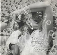 BJORK - Vespertine (digipak) - Hard Rock & Metal