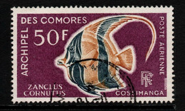 2069B- COMORO ISLANDS - 1968 - SC#: C23 - USED - MOORISH IDOL FISH - Gebruikt