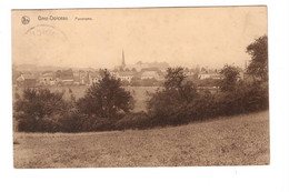 Grez Doiceau Panorama ( Carte Ayant Voyagé ) - Graven