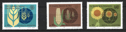 ARGENTINE. N°1426-8 De 1984. Tournesol/Maïs/FAO. - Agriculture