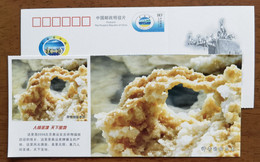 Natural Crystallization Salt Mineral,China 2008 Magical Golmud Holy Land On Earth Advertising Pre-stamped Card - Minéraux