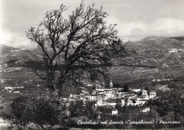 CANTALUPO NEL SANNIO - PANORAMA - CARTOLINA FG SPEDITA ANNI 50 - Isernia