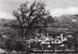 CANTALUPO NEL SANNIO - PANORAMA - CARTOLINA FG SPEDITA ANNI 70 - Isernia