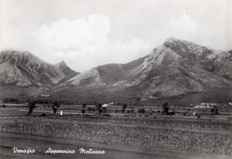 VENAFRO -  APPENNINO MOLISANO - CARTOLINA FG NUOVA - Isernia