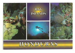 Delcampe - Circulated San Antonio De Flores El Paraiso To Tegucigalpa 2010,Spain School Stamp - Honduras