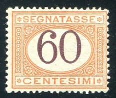 REGNO 1924 SEGNATASSE 60 C.  SASSONE N. 33** MNH - Taxe