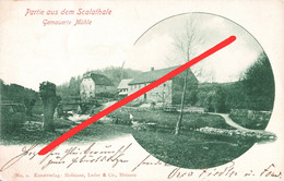 Litho AK Gemauerte Mühle Scala Skala Gasthof Boot A Löbau Georgewitz Bellwitz Kittlitz Oppeln Kleinradmeritz Reichenbach - Löbau