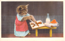 Fantaisies - Chaton Habillé Qui Prépare Des Biscuits - Carte Postale Ancienne - Geklede Dieren