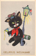 Fantaisies - Chaton Habillé Qui Fête La Nouvelle Année - Gelukkig Nieuwjaar - Colorisé - Carte Postale Ancienne - Animali Abbigliati